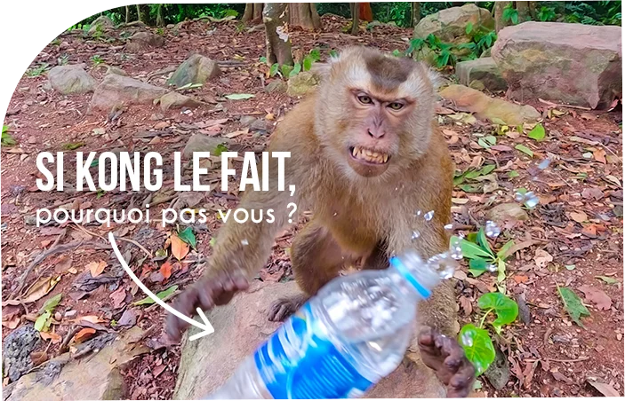 Image Kong, mascotte Recycle Plastique - Jette une bouteille en plastique